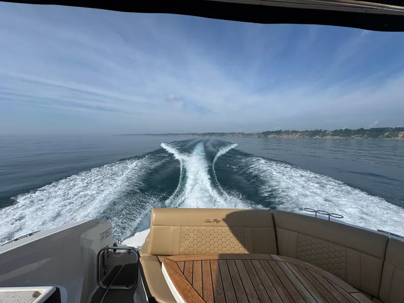 Slide: The Image of Sea Ray Sundancer 320 2019 - 71