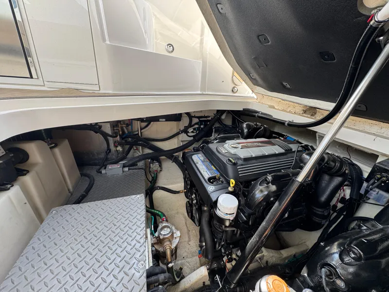 Slide: The Image of Sea Ray Sundancer 320 2019 - 95