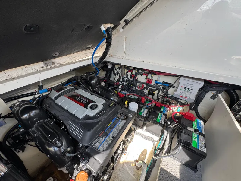 Slide: The Image of Sea Ray Sundancer 320 2019 - 96