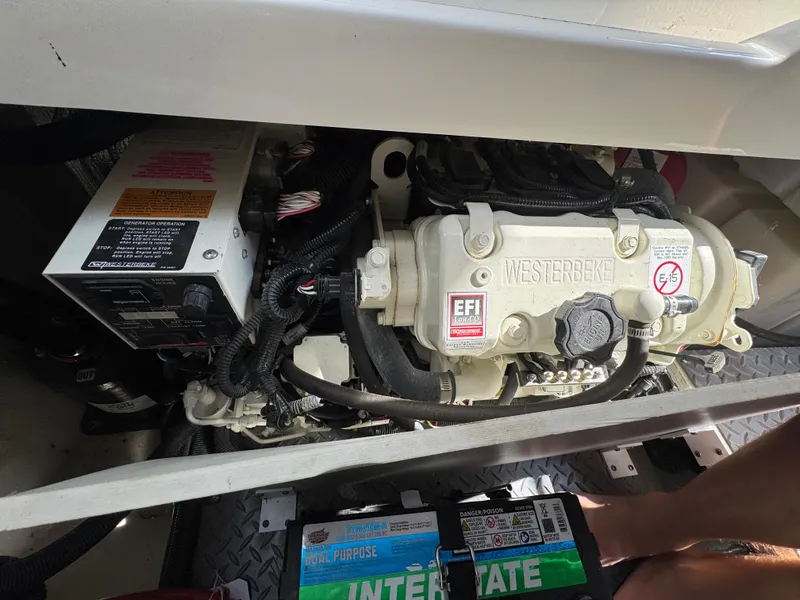 Slide: The Image of Sea Ray Sundancer 320 2019 - 97