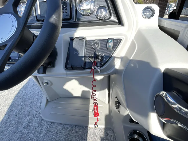 Slide: The Image of South Bay 224 RS LE 2025 - 7