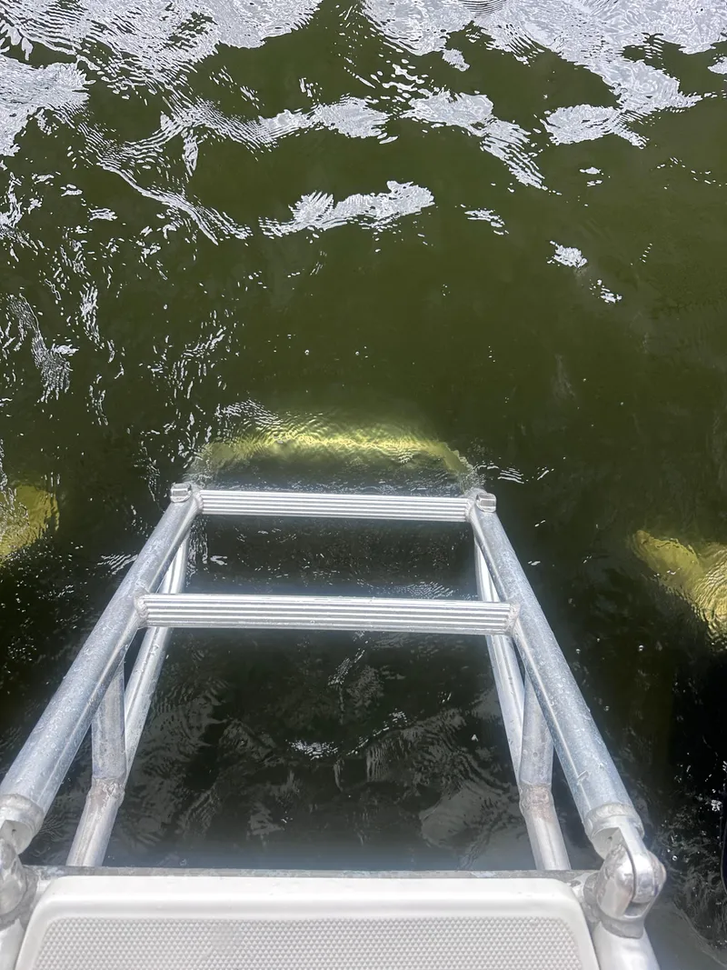 Slide: The Image of Boat ladder descending into water from 2013 World Cat 255 DC. - 28