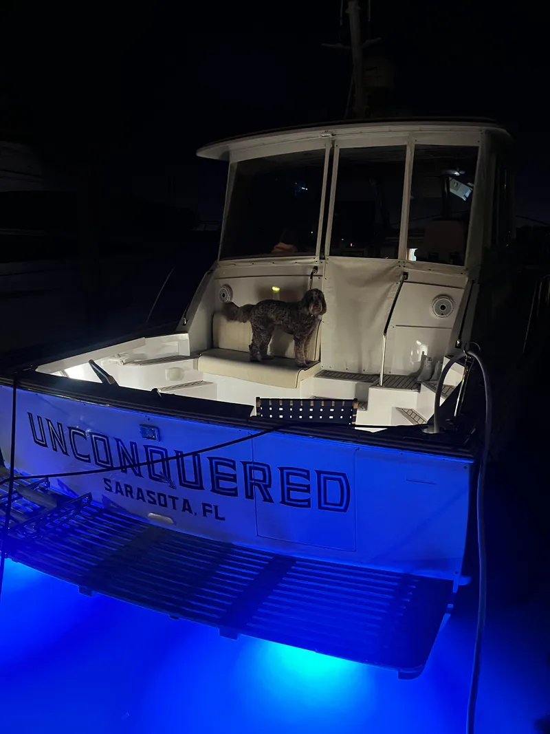Slide: The Image of 2002 Grand Banks 43 Eastbay HX yacht with blue underwater lights and a dog on deck. - 19