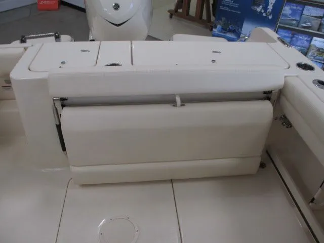 Slide: The Image of Grady-White Freedom 235 2026 - 26