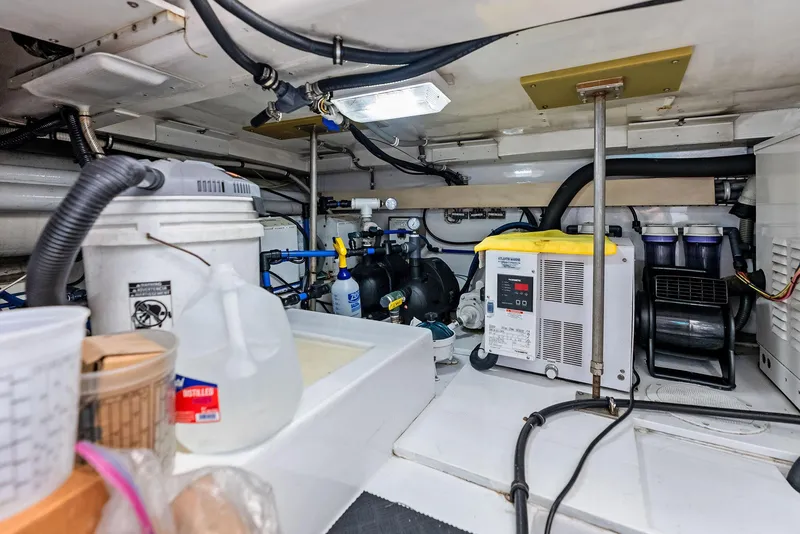 Slide: The Image of Bertram 570 2004 - 57