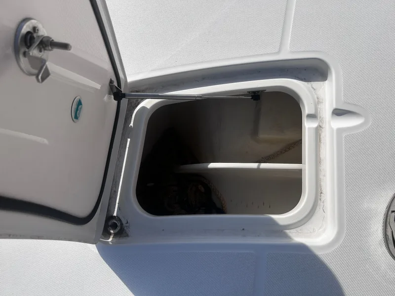 Slide: The Image of World Cat 260 CC-X 2024 - 13