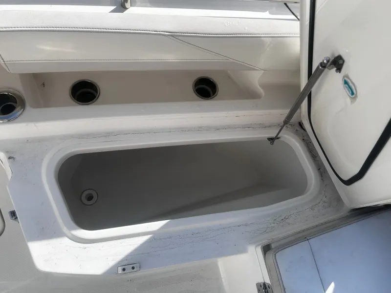 Slide: The Image of World Cat 260 CC-X 2024 - 15