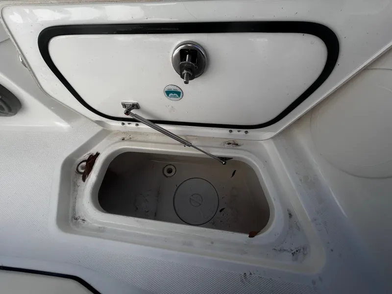 Slide: The Image of World Cat 260 CC-X 2024 - 24