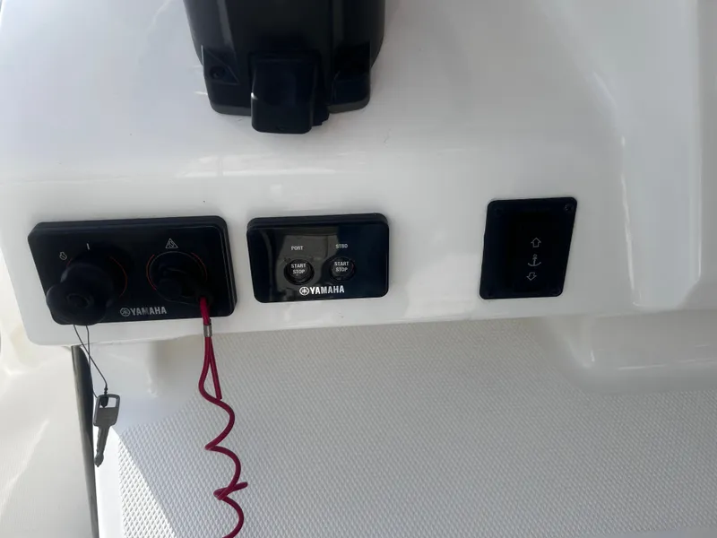 Slide: The Image of World Cat 260 CC-X 2024 - 33