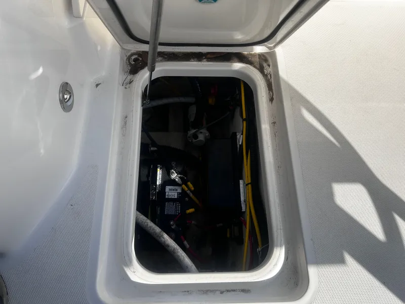 Slide: The Image of World Cat 260 CC-X 2024 - 39