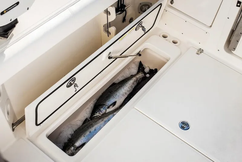 Slide: The Image of Manufacturer Provided Image: Fish storage compartment on 2019 Boston Whaler 285 Conquest boat. - 17