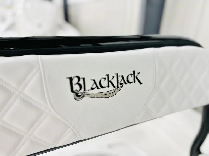 Slide: The Image of Close-up of 2026 BlackJack 256 Coastal boat seat with logo embroidery. - 15