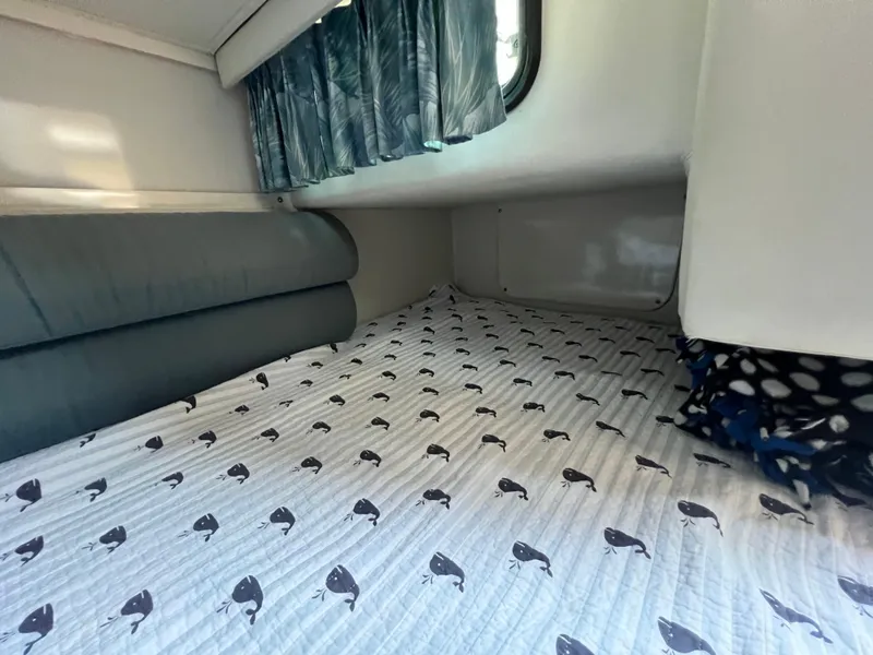 Slide: The Image of Interior cabin of 1988 Wellcraft 3400 Grand Sport with whale-patterned bedding. - 24
