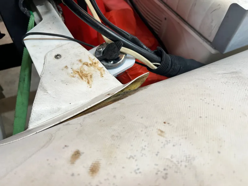 Slide: The Image of Zodiac Cadet 310S 2010 - 3