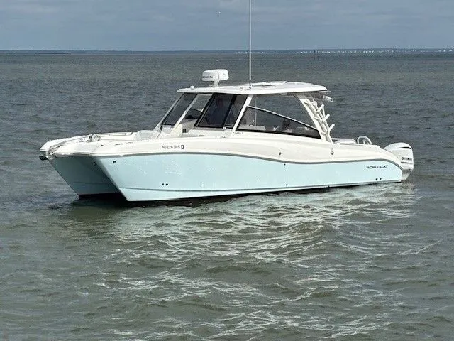 Slide: The Image of World Cat 325 DC 2021 - 0