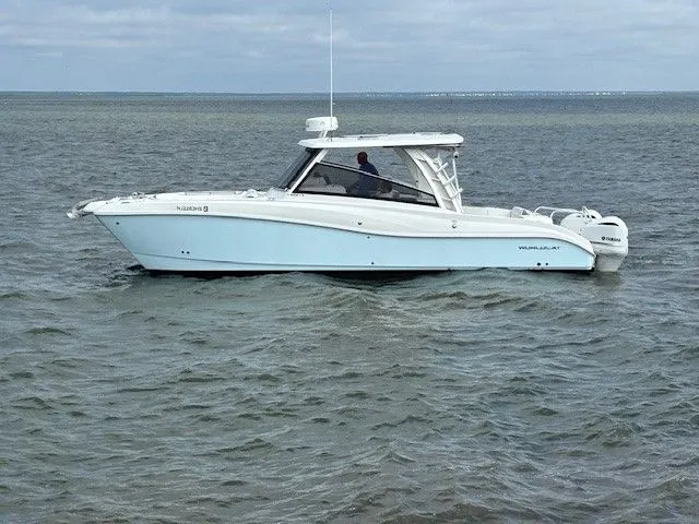 Slide: The Image of World Cat 325 DC 2021 - 1