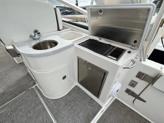 Slide: The Image of World Cat 325 DC 2021 - 13