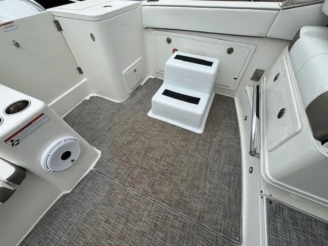 Slide: The Image of World Cat 325 DC 2021 - 17