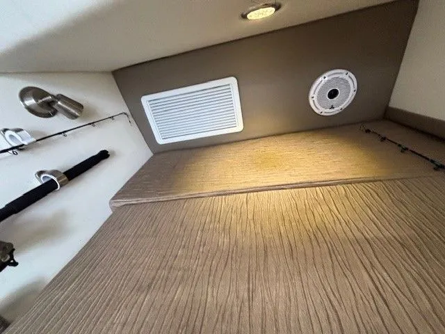 Slide: The Image of World Cat 325 DC 2021 - 21