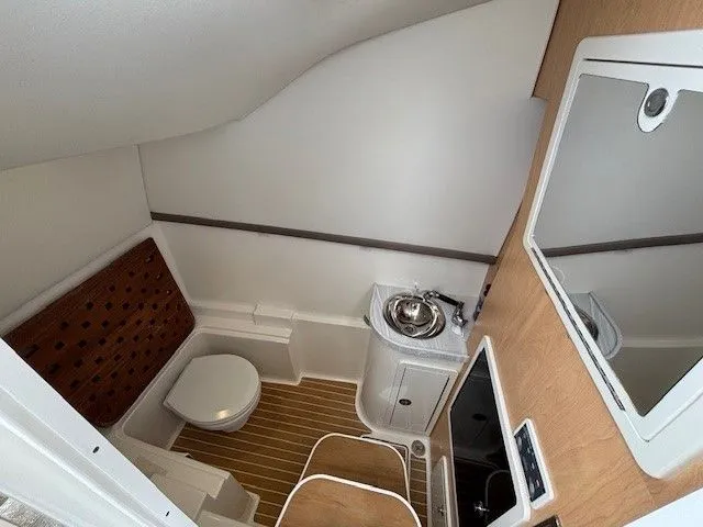 Slide: The Image of World Cat 325 DC 2021 - 24