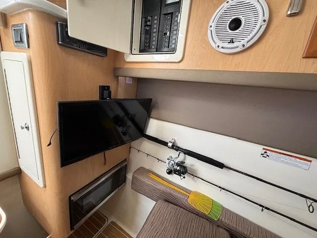 Slide: The Image of World Cat 325 DC 2021 - 27