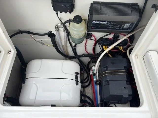 Slide: The Image of World Cat 325 DC 2021 - 28