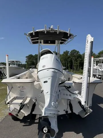 Slide: The Image of Carolina 19 LS/CC 2021 - 6