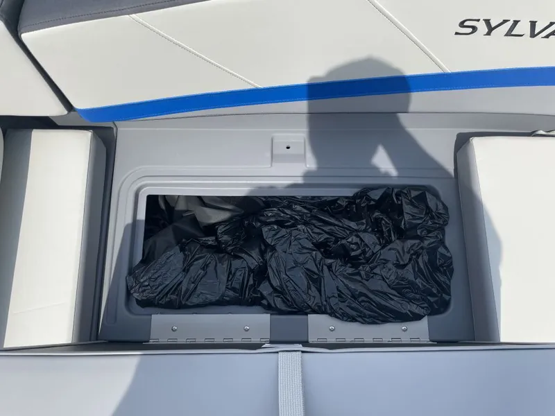 Slide: The Image of Sylvan A-20 LZ DH 2026 - 15