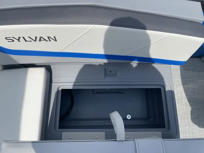 Slide: The Image of Sylvan A-20 LZ DH 2026 - 17