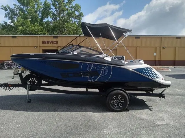 Slide: The Image of Scarab 195 ID 2024 - 10