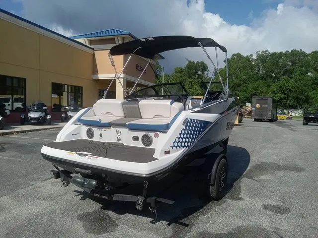 Slide: The Image of Scarab 195 ID 2024 - 14