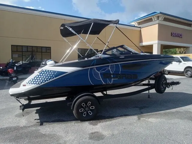 Slide: The Image of Scarab 195 ID 2024 - 16