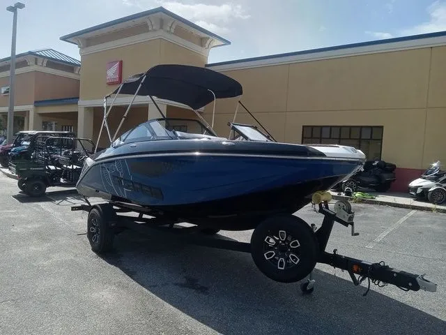 Slide: The Image of Scarab 195 ID 2024 - 3