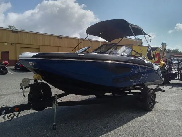 Slide: The Image of Scarab 195 ID 2024 - 8