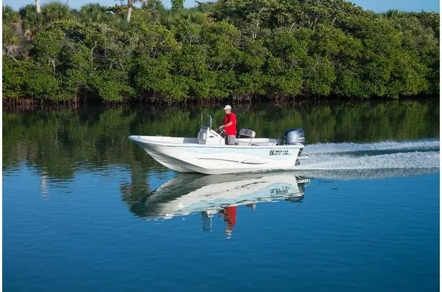 Slide: The Image of Carolina 218 2018 - 22