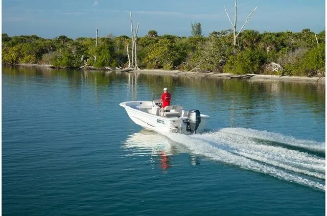 Slide: The Image of Carolina 218 2018 - 4