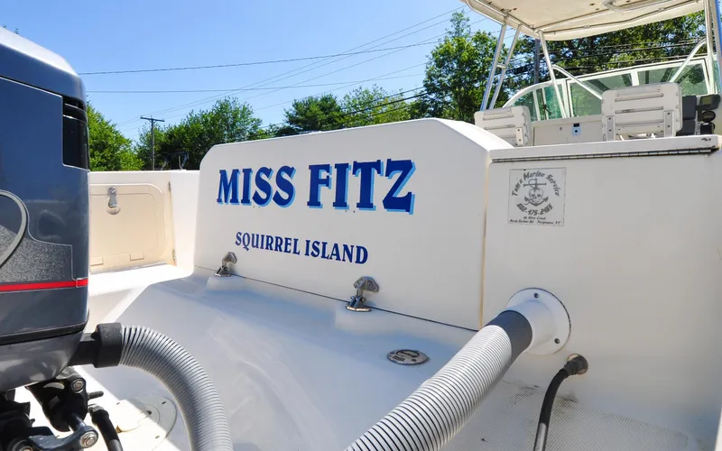 Slide: The Image of Pursuit 2470 - Miss Fritz - 10