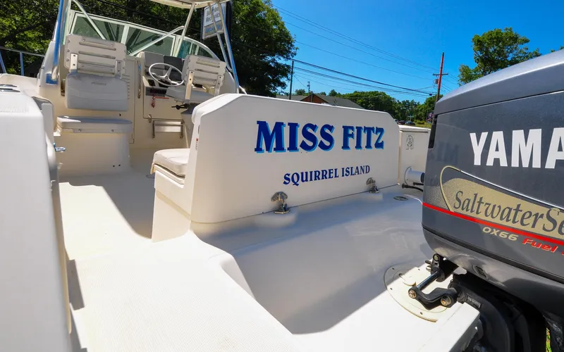 Slide: The Image of Pursuit 2470 - Miss Fritz - 11