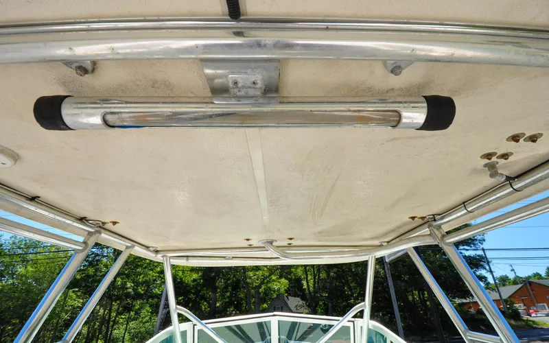 Slide: The Image of Pursuit 2470 - Miss Fritz - 27