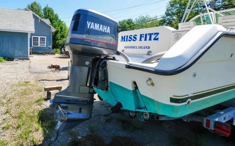 Slide: The Image of Pursuit 2470 - Miss Fritz - 8