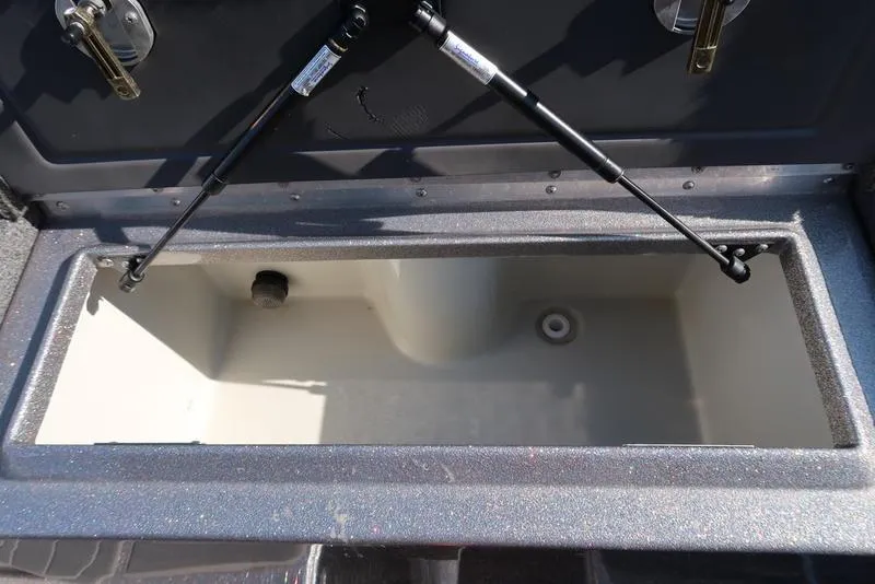Slide: The Image of 2024 Warrior 238 DC boat storage compartment with hydraulic lift supports. - 3