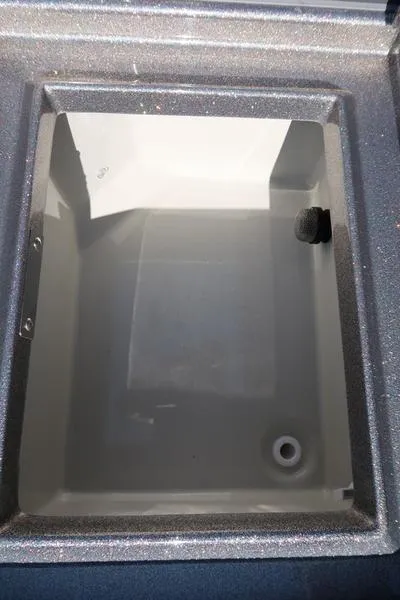 Slide: The Image of 2024 Warrior 238 DC boat livewell, empty and clean, with visible drain and plug. - 33