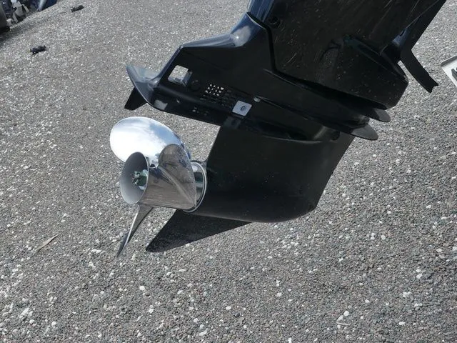 Slide: The Image of Savannah Savannah 2200 2024 - 11