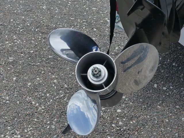 Slide: The Image of Savannah Savannah 2200 2024 - 12