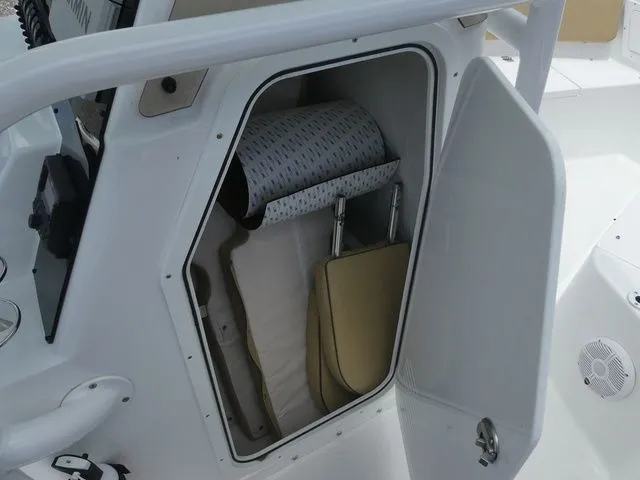 Slide: The Image of Savannah Savannah 2200 2024 - 17