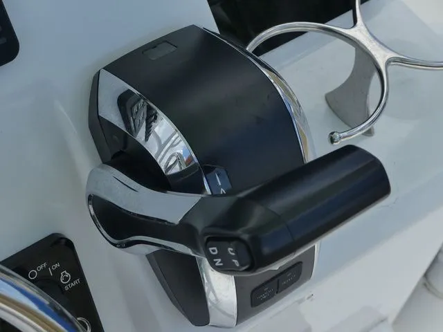 Slide: The Image of Savannah Savannah 2200 2024 - 20