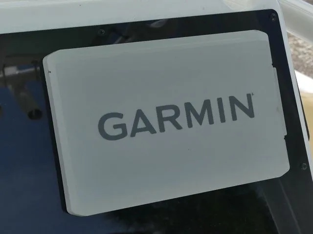 Slide: The Image of Savannah Savannah 2200 2024 - 21