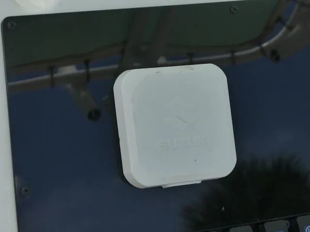 Slide: The Image of Savannah Savannah 2200 2024 - 22