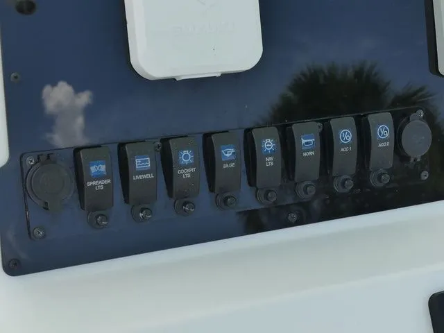 Slide: The Image of Savannah Savannah 2200 2024 - 23