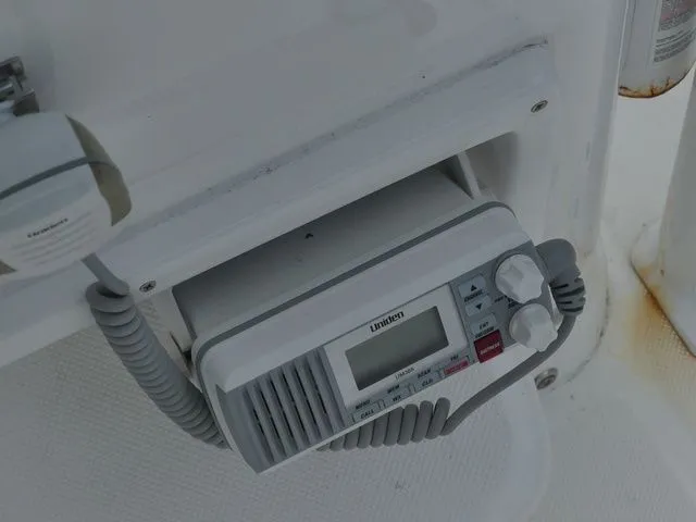 Slide: The Image of Savannah Savannah 2200 2024 - 26